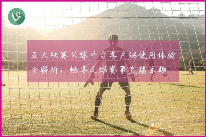 五大联赛买球平台客户端使用体验全解析，畅享足球赛事直播乐趣