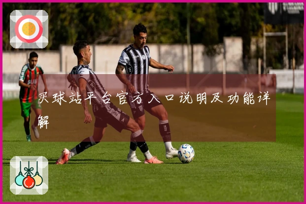 买球站平台官方入口说明及功能详解