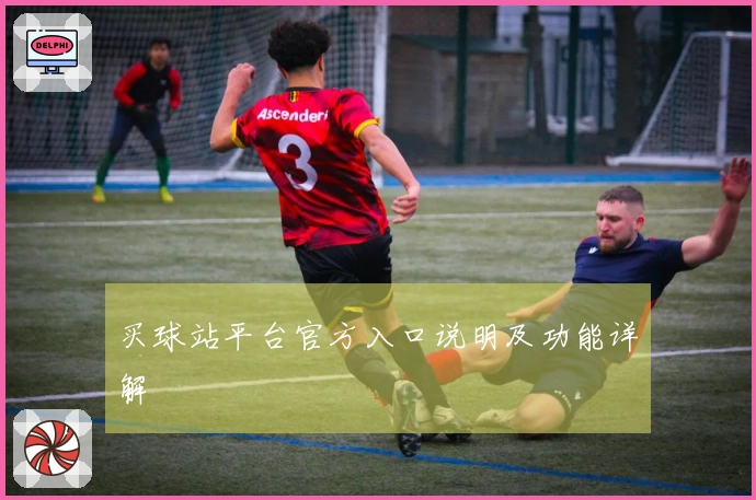 买球站平台官方入口说明及功能详解