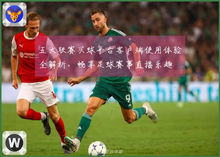 五大联赛买球平台客户端使用体验全解析，畅享足球赛事直播乐趣