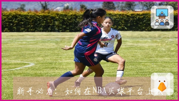 新手必看：如何在NBA买球平台上找到最佳观看体验与功能介绍
