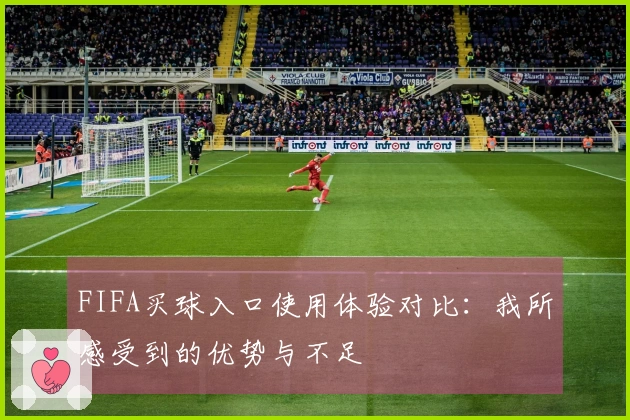 FIFA买球入口使用体验对比:我所感受到的优势与不足