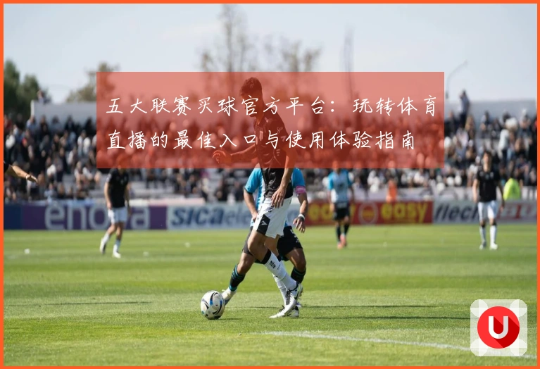 五大联赛买球官方平台：玩转体育直播的最佳入口与使用体验指南